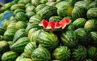 靖江小网红吃瓜事件真相,揭秘背后真相与网络舆论风暴