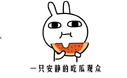 抖音吃瓜都有哪些网红,揭秘热门网红背后的故事