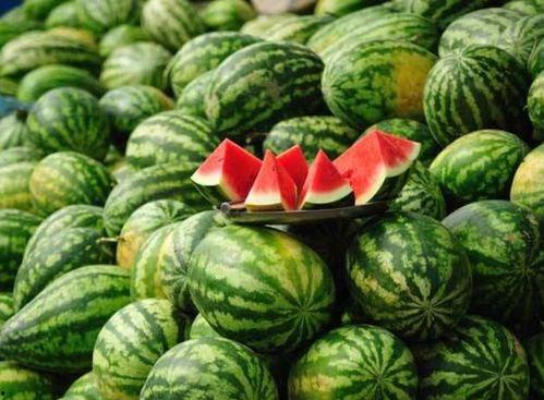 可以当水果吃的网红瓜,当红水果的跨界魅力