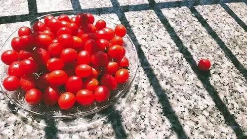 抖音吃瓜300w网红,网红背后的故事