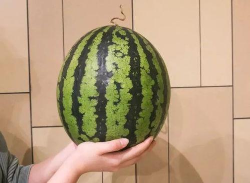 广州网红安琪儿的吃瓜,娱乐圈那些不为人知的“瓜”