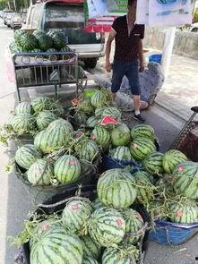 永年网销吃瓜事件