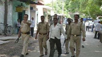 礼县网红吃瓜事件始末,一场网络舆论的风暴与反思