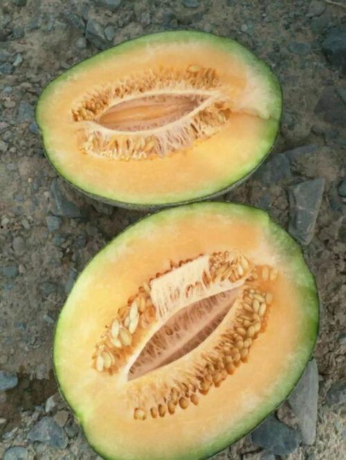 中卫网红如何吃瓜,揭秘网络热点背后的故事