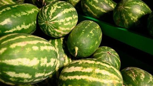 烟台吃瓜网红事件,网络舆论的风暴与反思