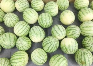 吃瓜网真实,吃瓜网带你直击明星幕后真相